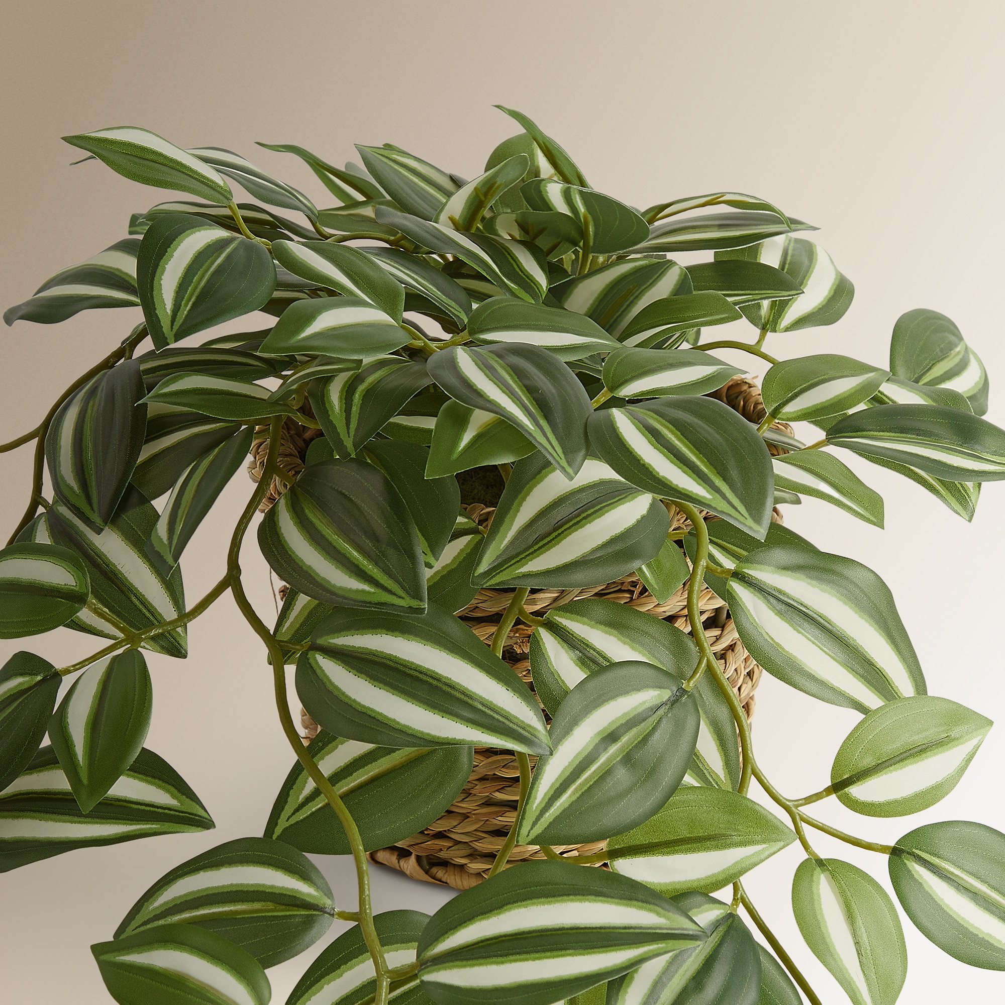 Imagen 2 de Planta colgante artificial Tradescantia en maceta El Corte Inglés - Verde Verde