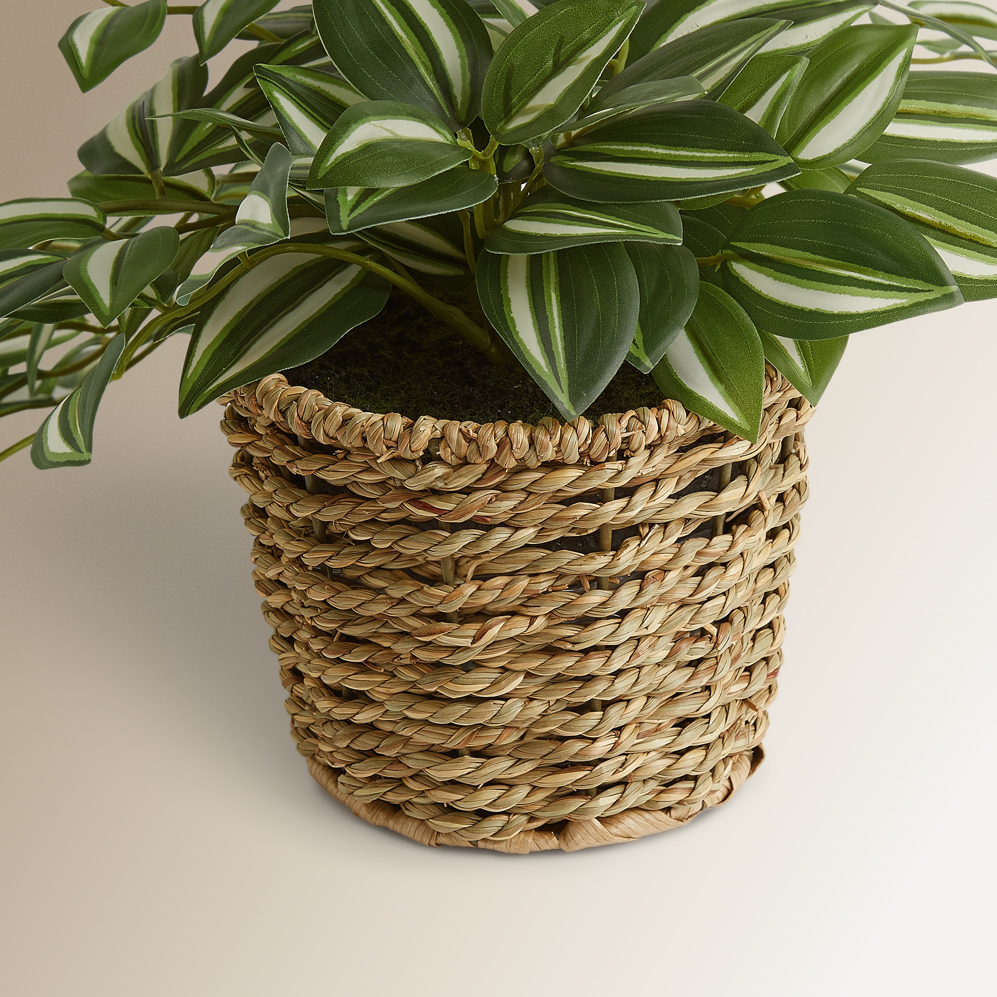Imagen 3 de Planta colgante artificial Tradescantia en maceta El Corte Inglés - Verde Verde