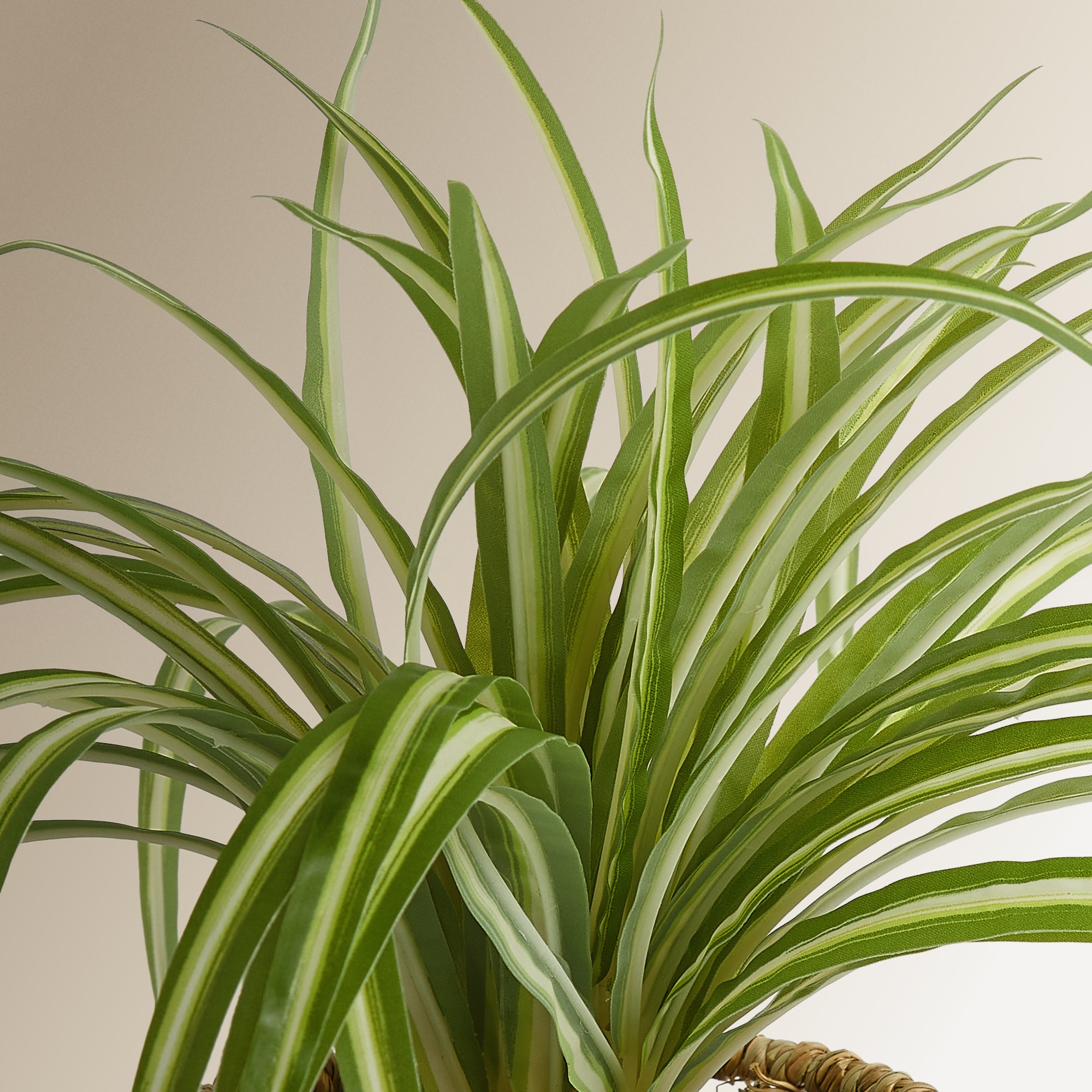 Planta artificial Clrophytum en maceta El Corte Inglés - Verde Verde-2