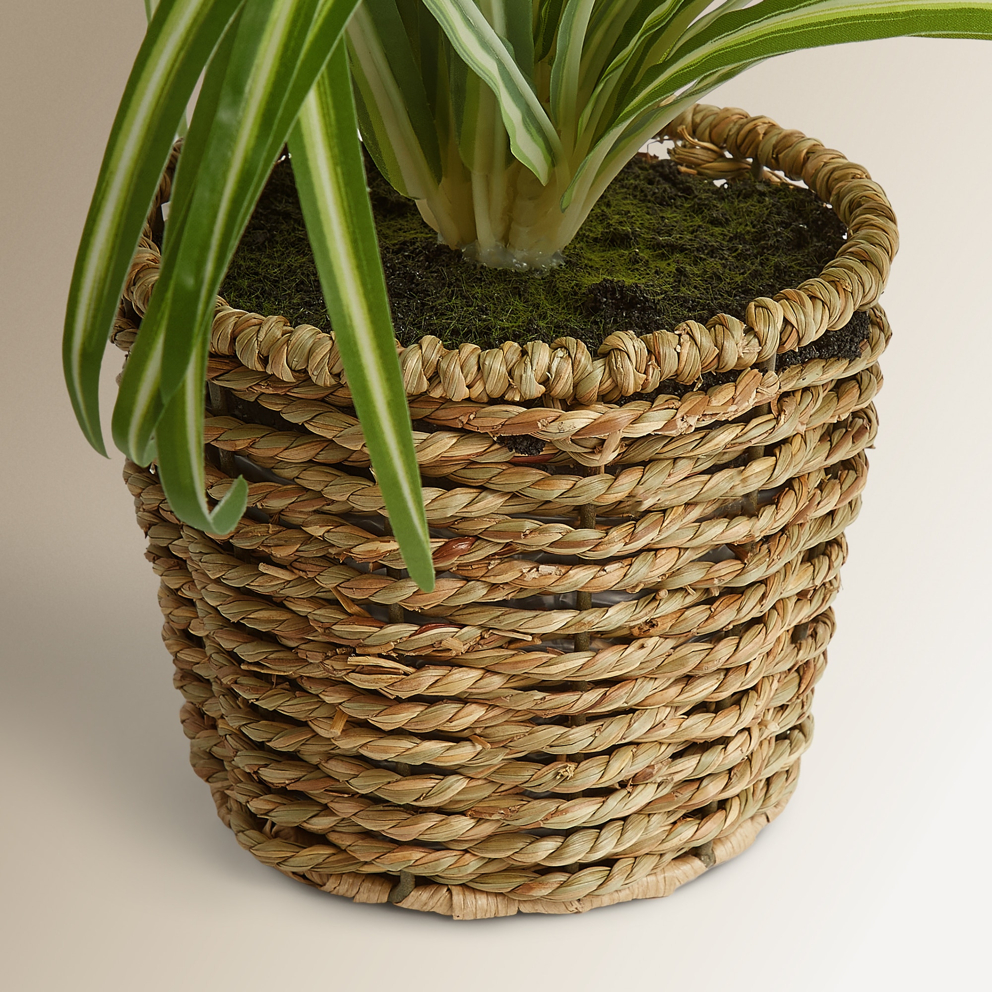 Planta artificial Clrophytum en maceta El Corte Inglés - Verde Verde-3
