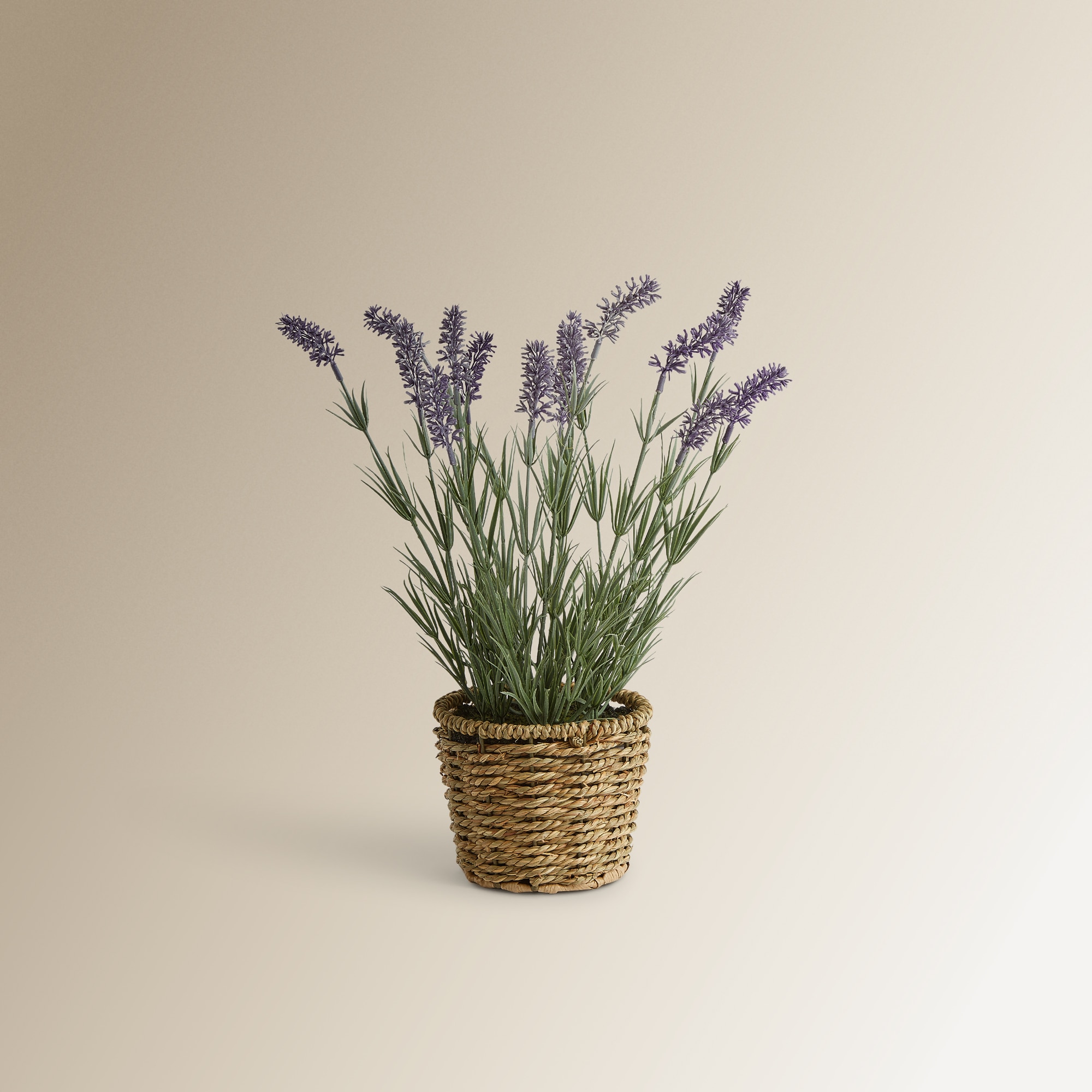 Planta artificial en maceta El Corte Inglés - Lavanda Lavanda-1