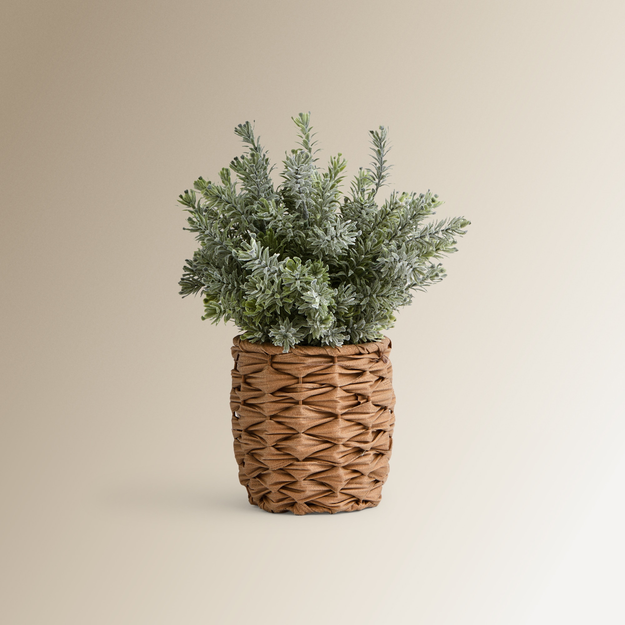 El Corte Inglés - Planta artificial Esparraguera Tomillo con maceta El Corte Inglés.
