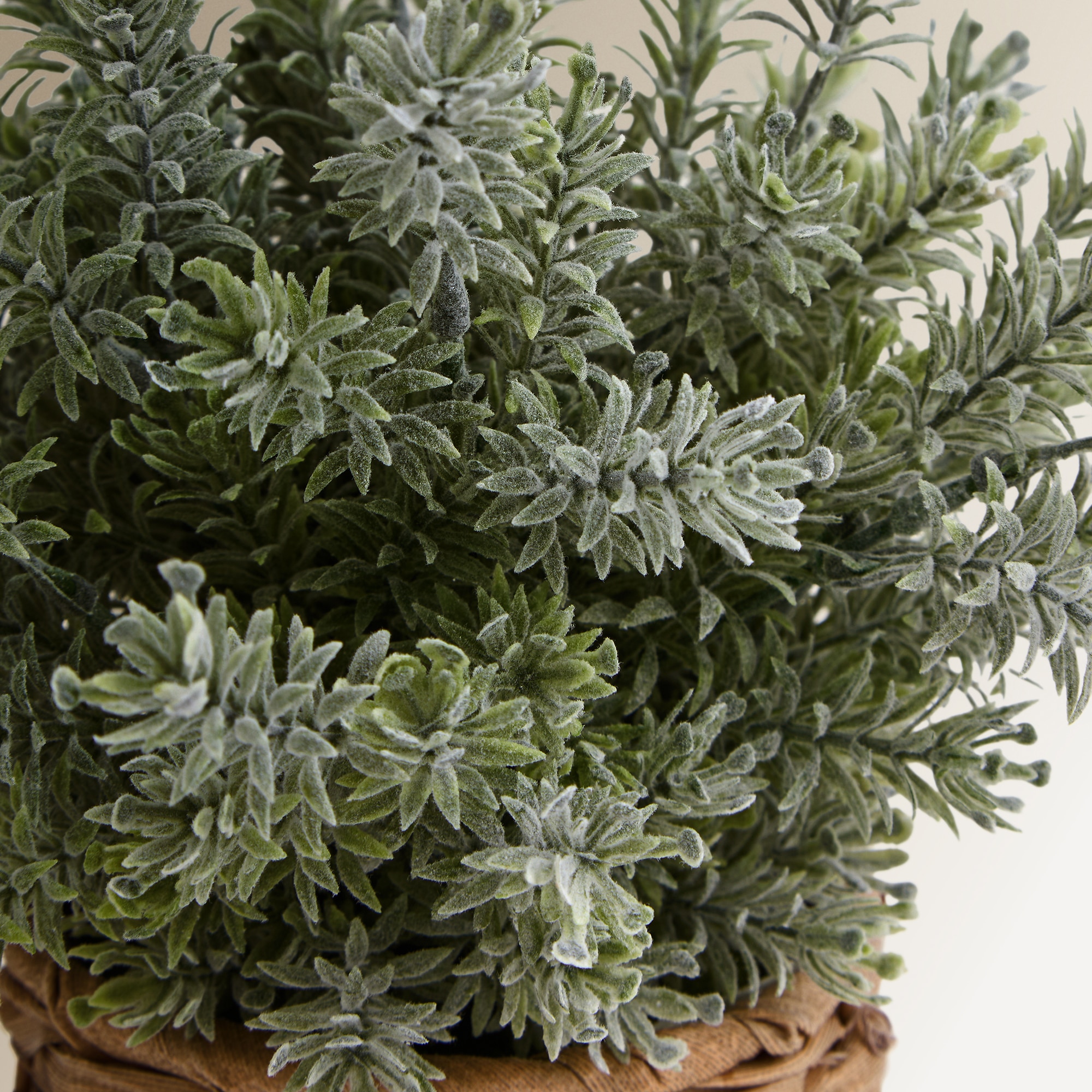 Planta artificial Esparraguera Tomillo con maceta El Corte Inglés - Verde Verde-2