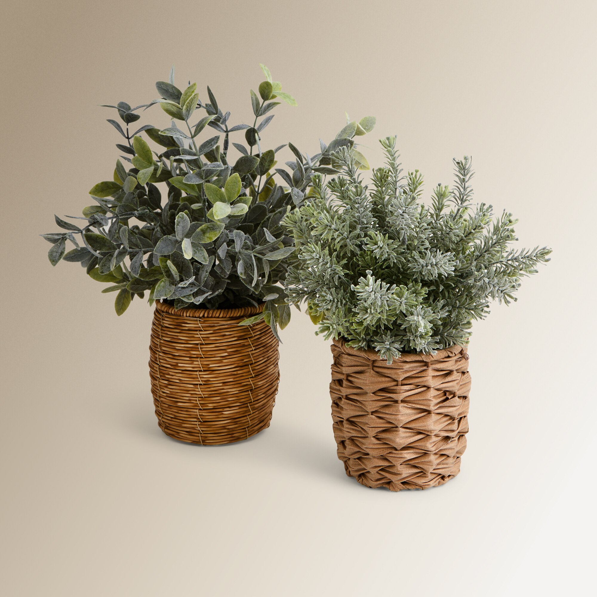 Planta artificial Esparraguera Tomillo con maceta El Corte Inglés - Verde Verde-4