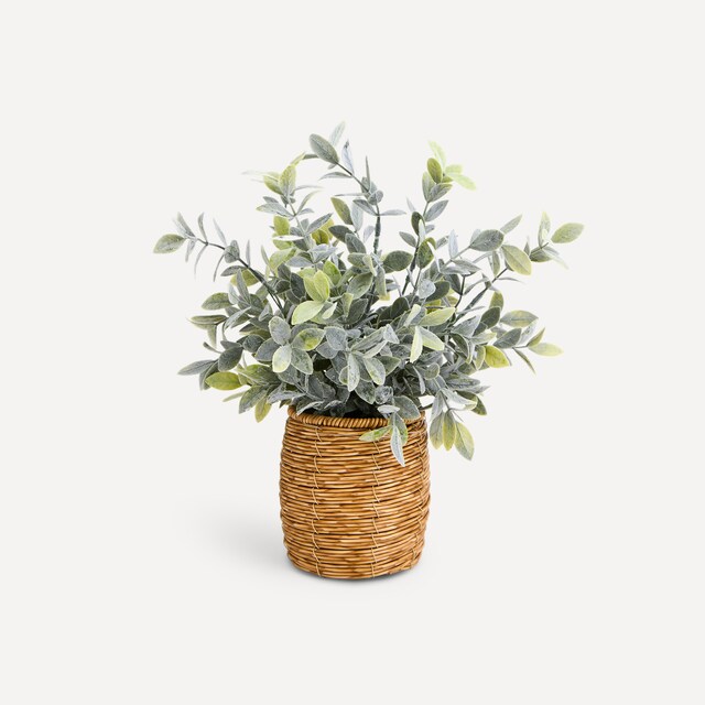 Imagen 0 de Planta artificial Boj en maceta de poliratán El Corte Inglés