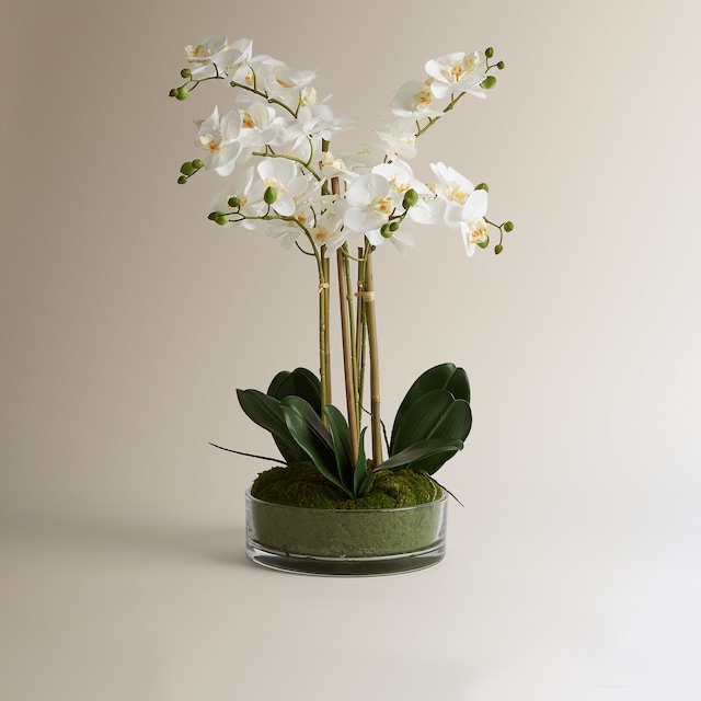 Imagem 0 de Planta artificial Orquídea em vaso