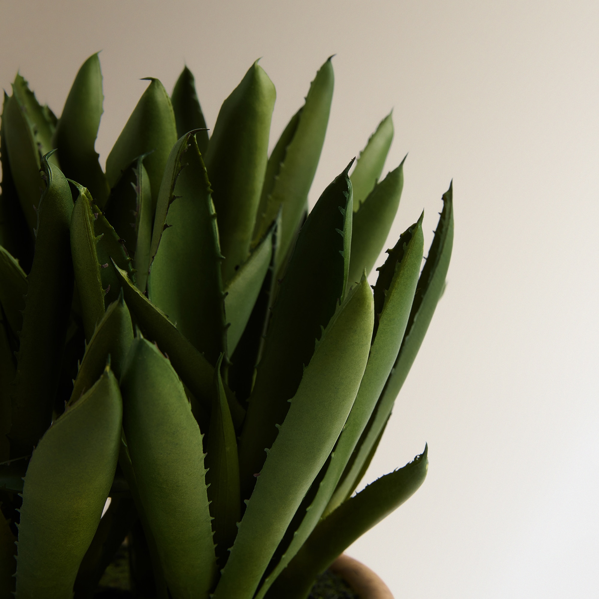 Planta Artificial Agave em Vaso Verde-2