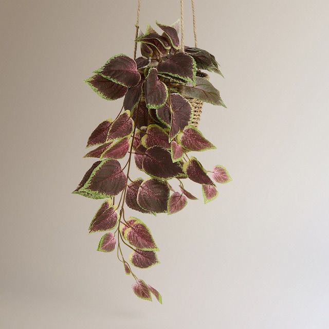 Imagem 0 de Planta de Pendurar Artificial Coleus
