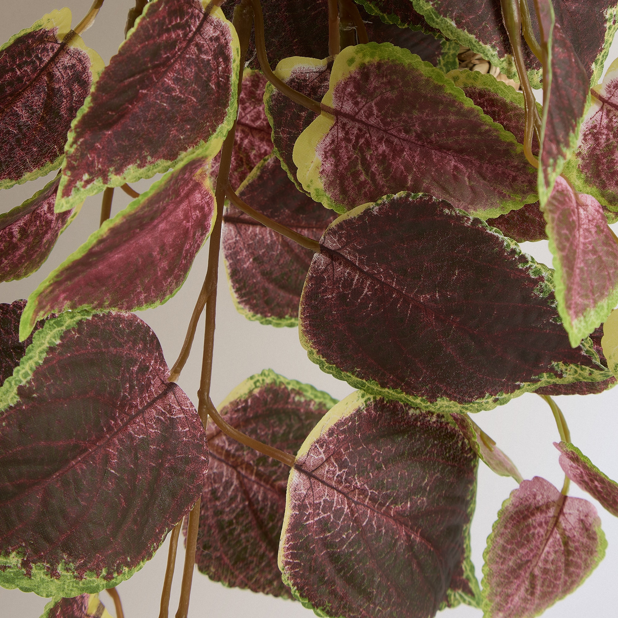Planta de Pendurar Artificial Coleus Bordeaux-2