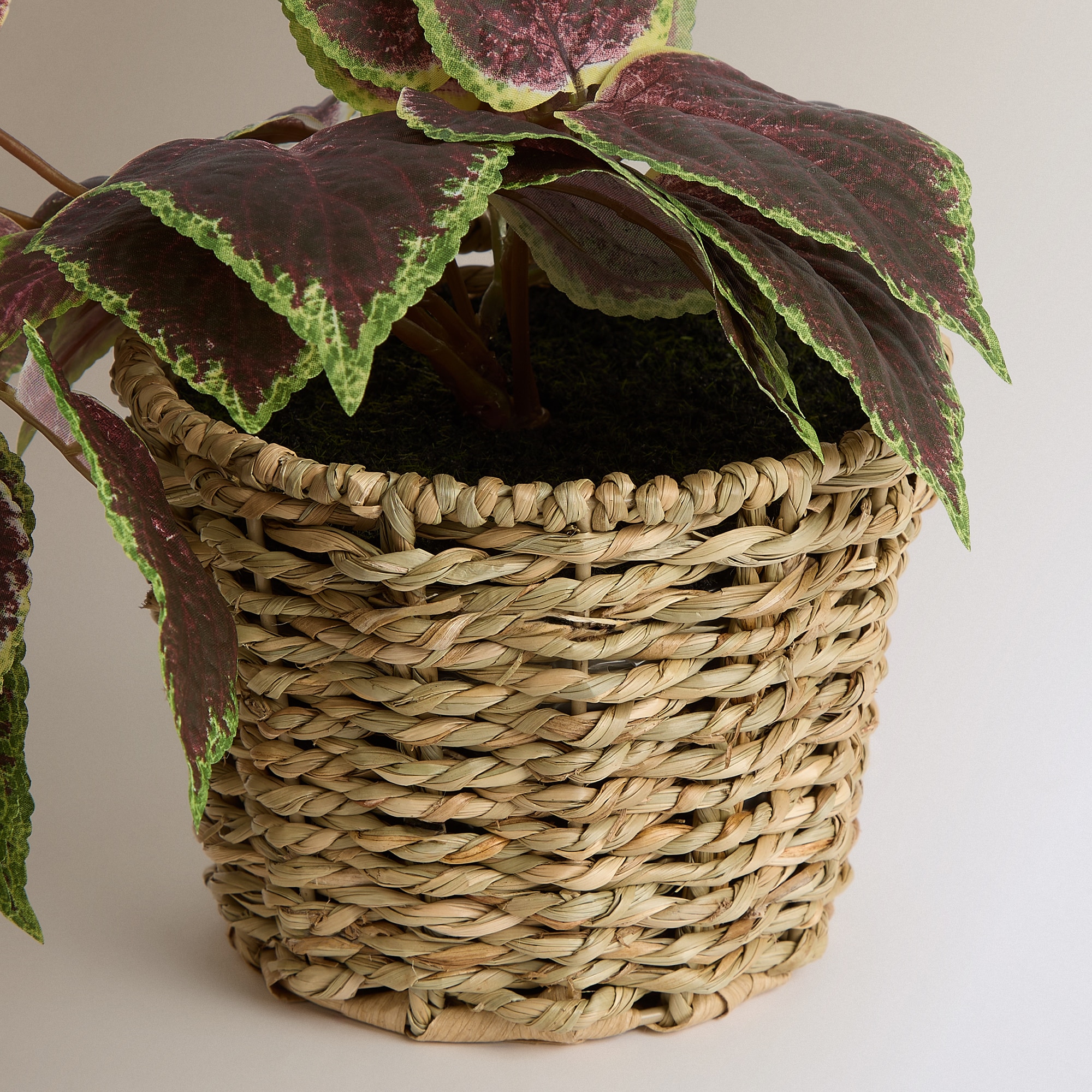 Planta de Pendurar Artificial Coleus Bordeaux-3