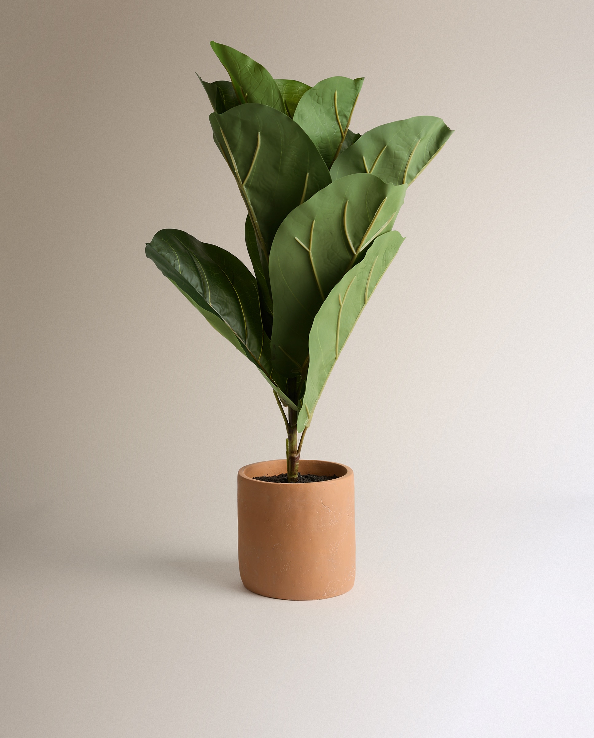 Planta artificial Higuera con maceta - Verde Verde-1
