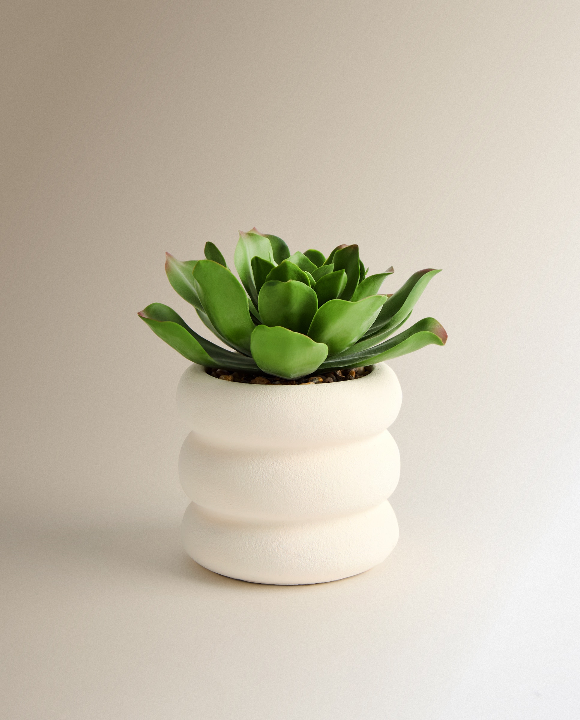 Planta artificial Flor con maceta - Verde Verde-1