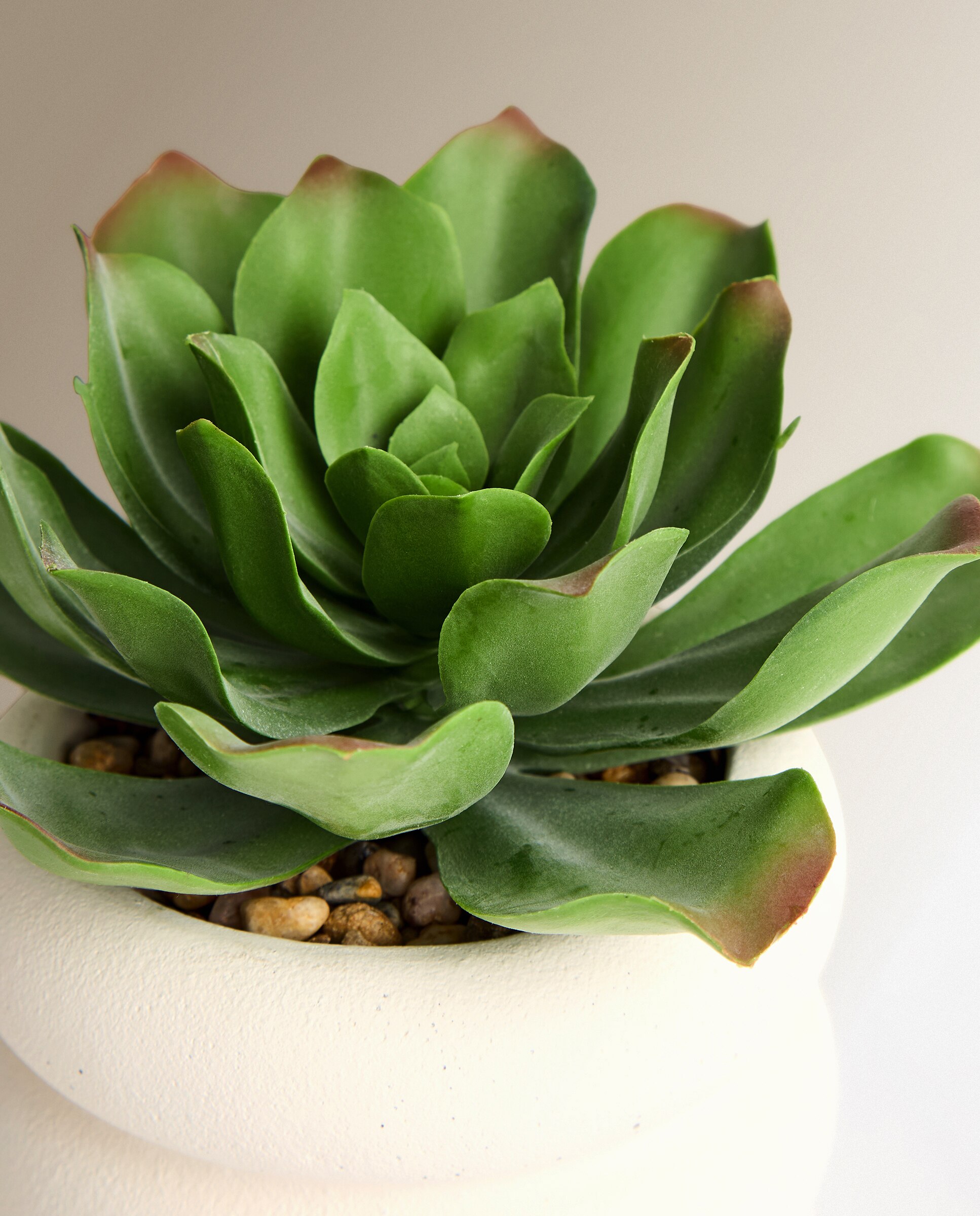Planta artificial Flor con maceta - Verde Verde-2