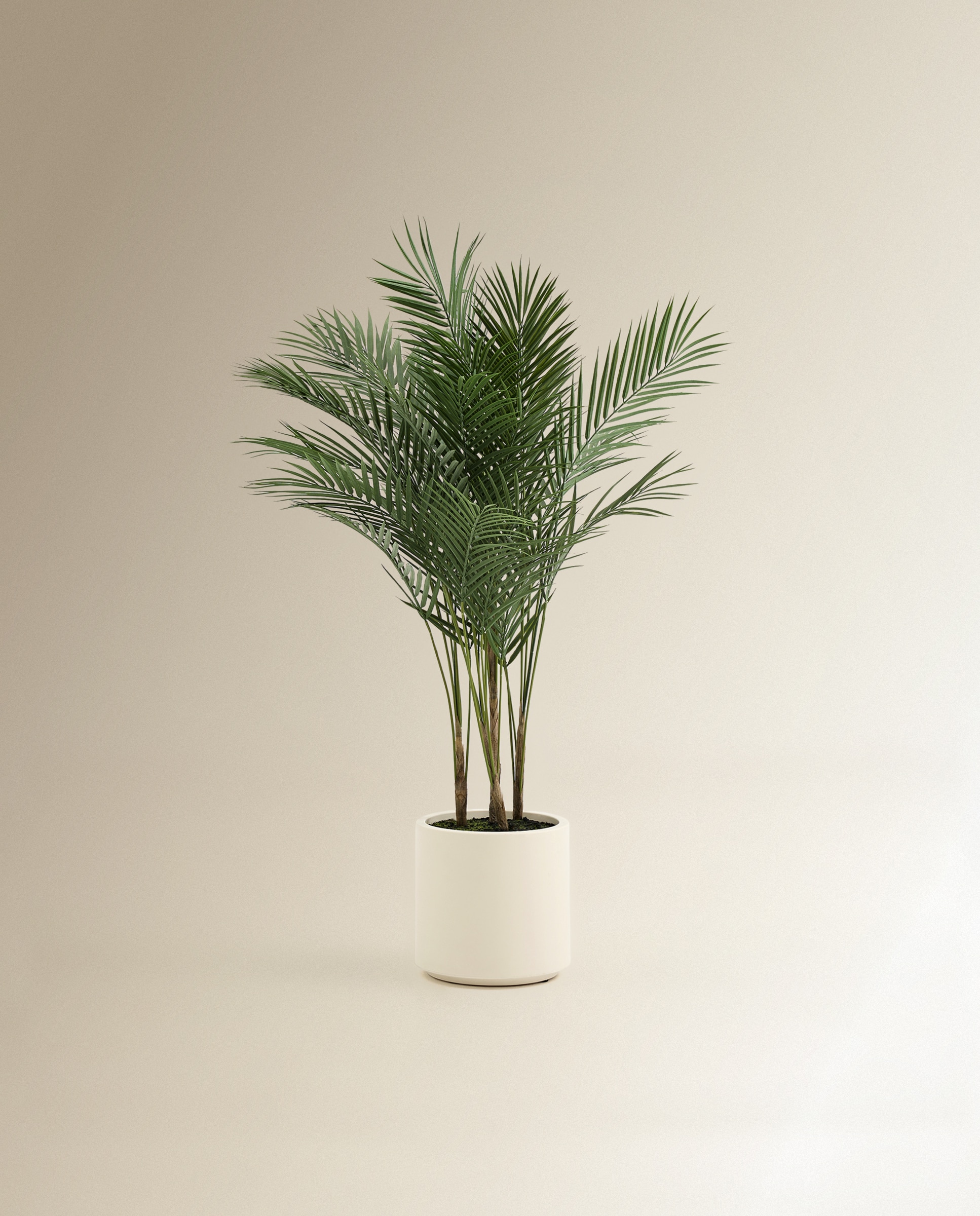 Imagen 0 de Planta artificial Areca con maceta Verde