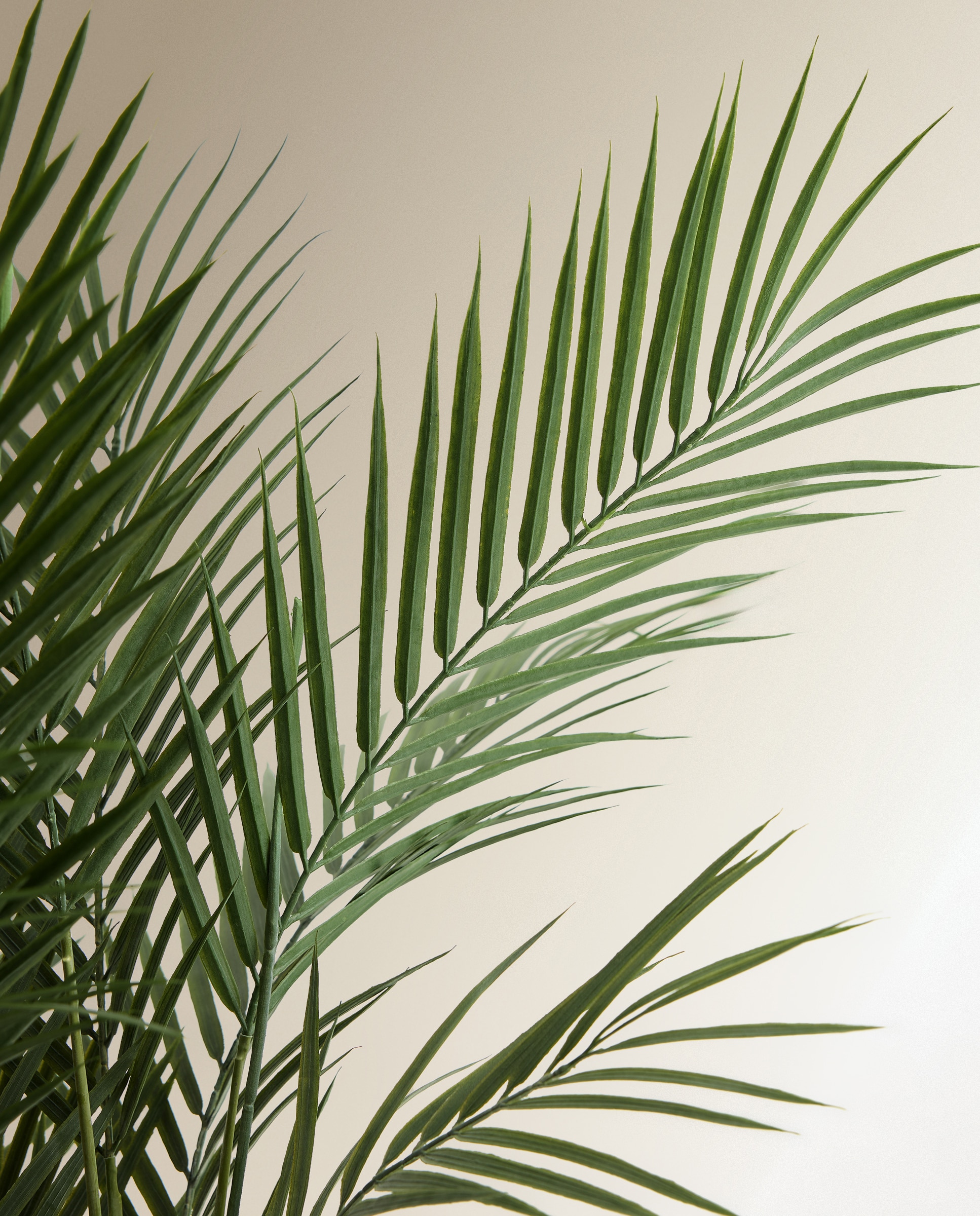 Planta artificial Areca con maceta - Verde Verde-3