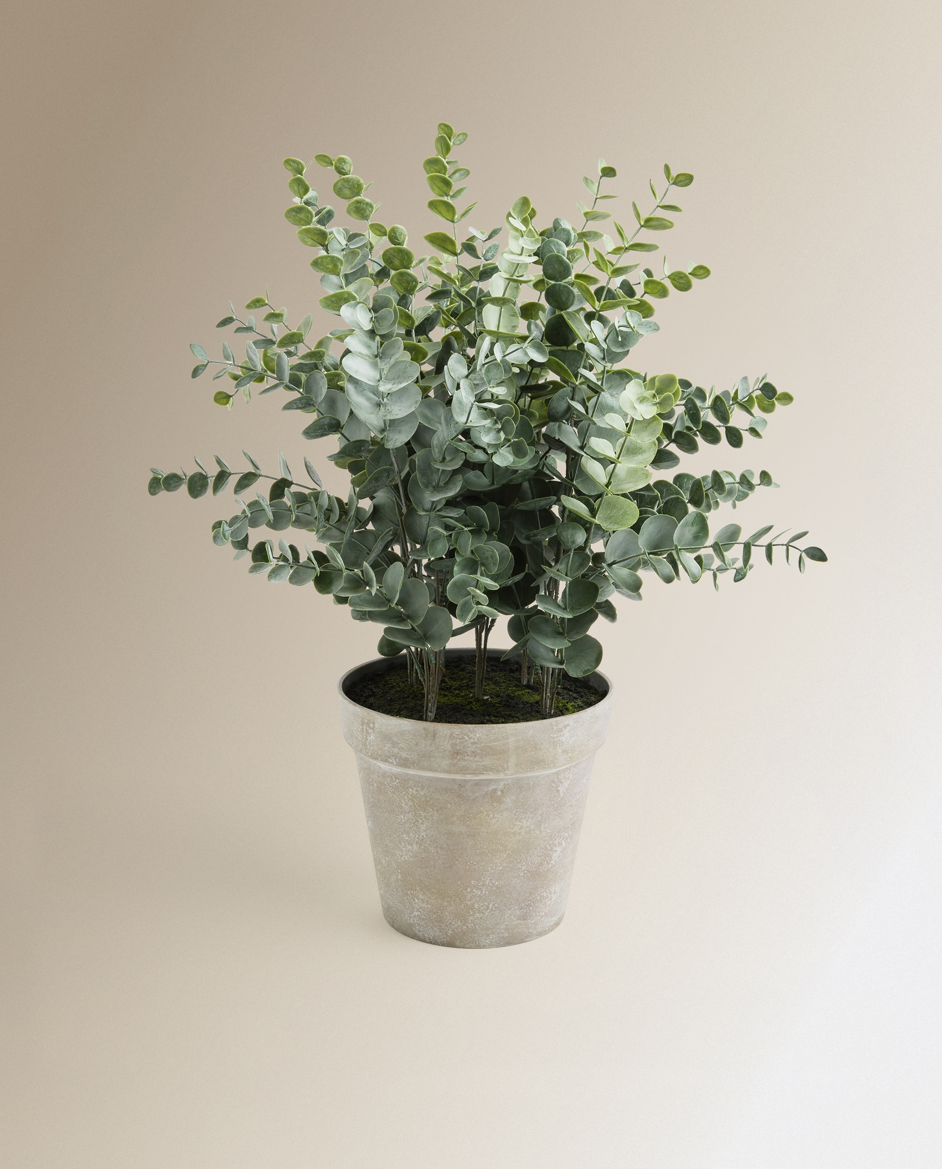 Planta artificial Eucalipto con maceta - Verde Verde-1