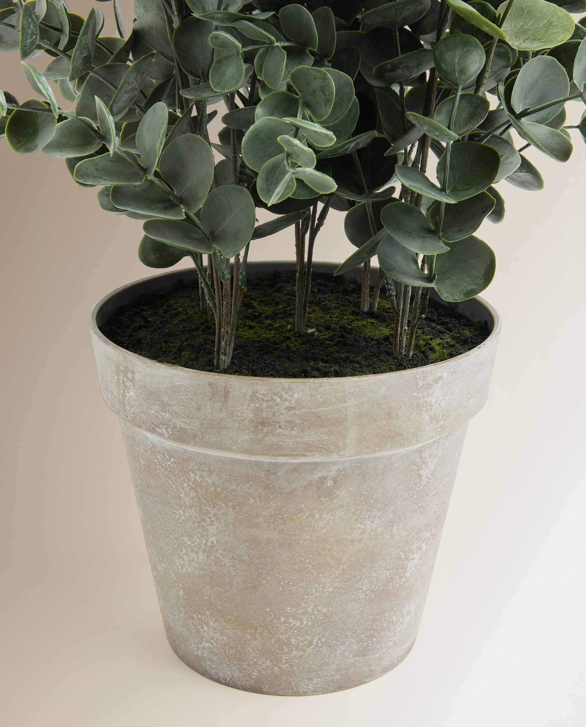 Planta artificial Eucalipto con maceta - Verde Verde-2