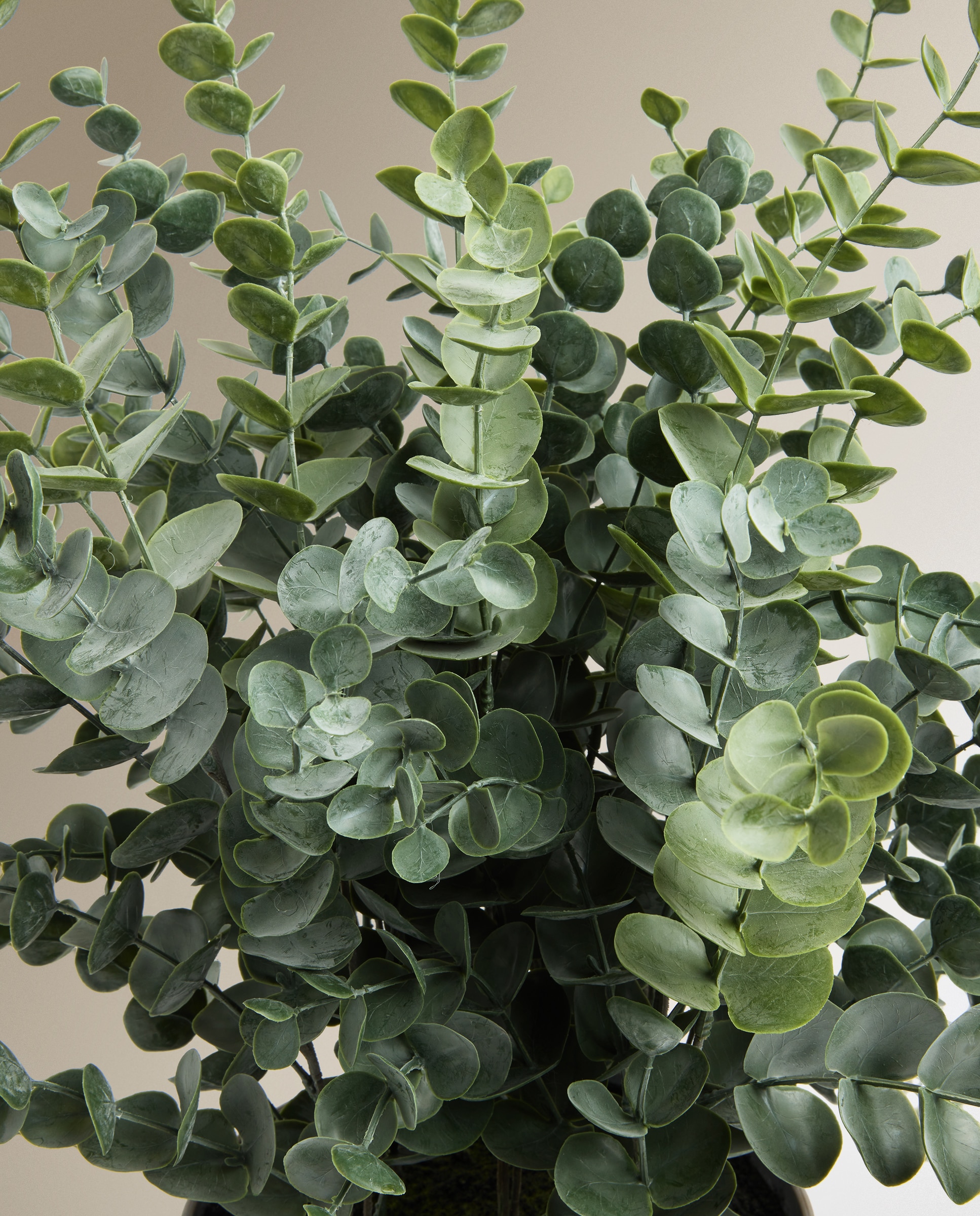Planta artificial Eucalipto con maceta - Verde Verde-3