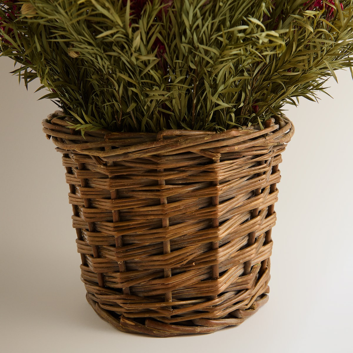 Flores Preservadas com Vaso de Rattan Multicolor-3