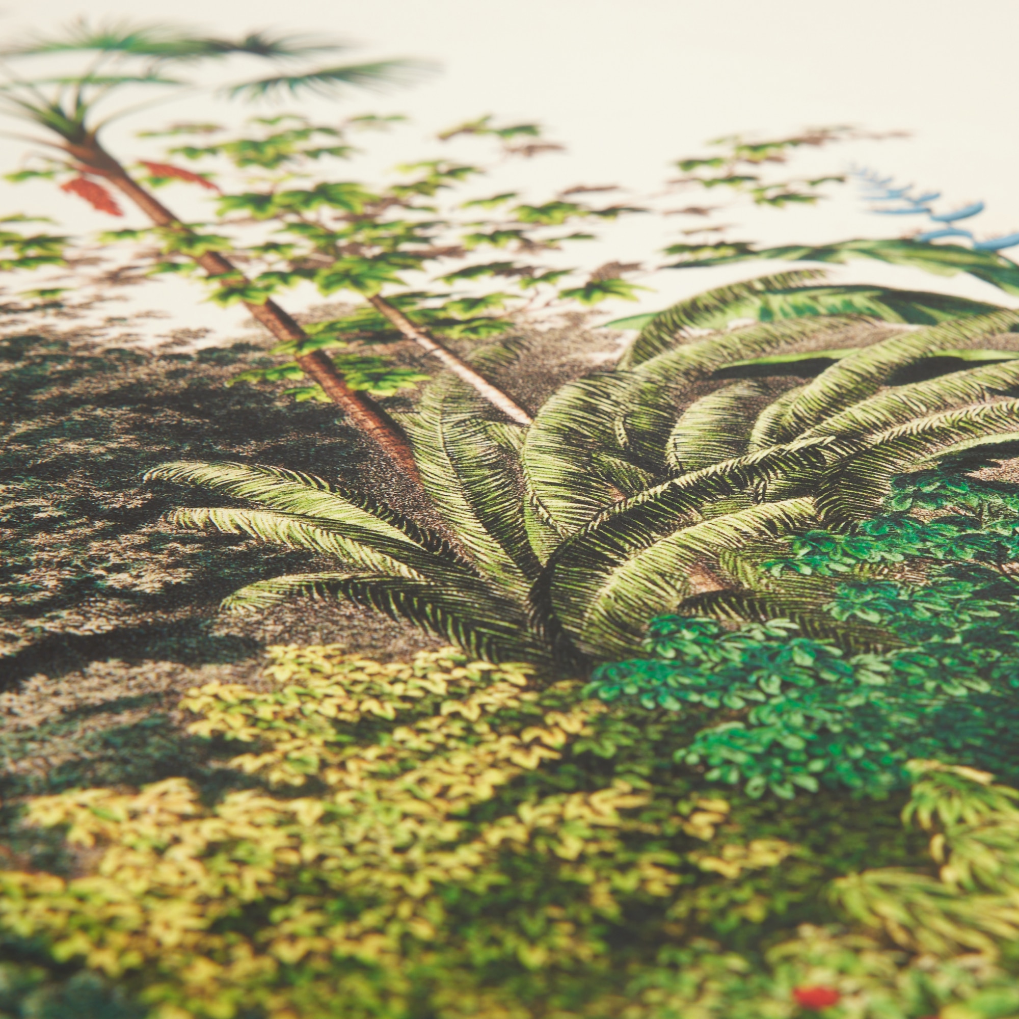 Ilustração Palmeiras Selva Multicolor-2