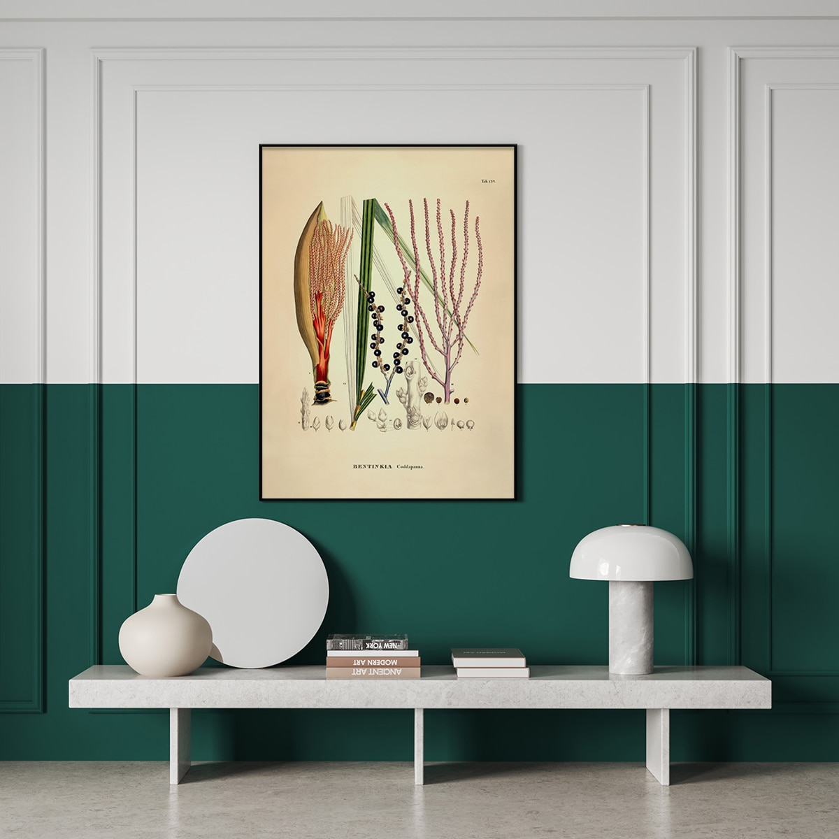 Ilustração Bentinkia Caddapanna Botanical Multicolor-2