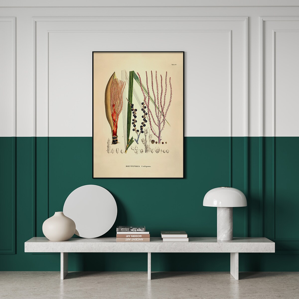 Ilustração Bentinkia Caddapanna Botanical Multicolor-2