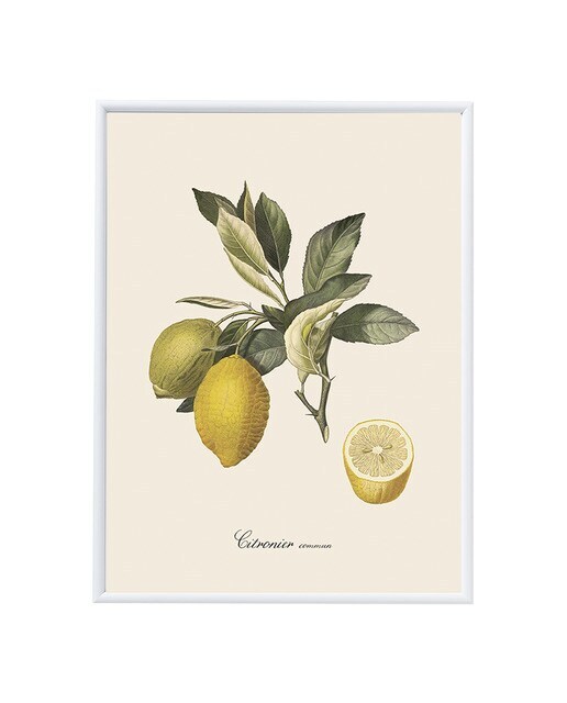 Pack Lámina Limones The Dybahl + Marco Nuestro Mejor Precio - El Corte Inglés