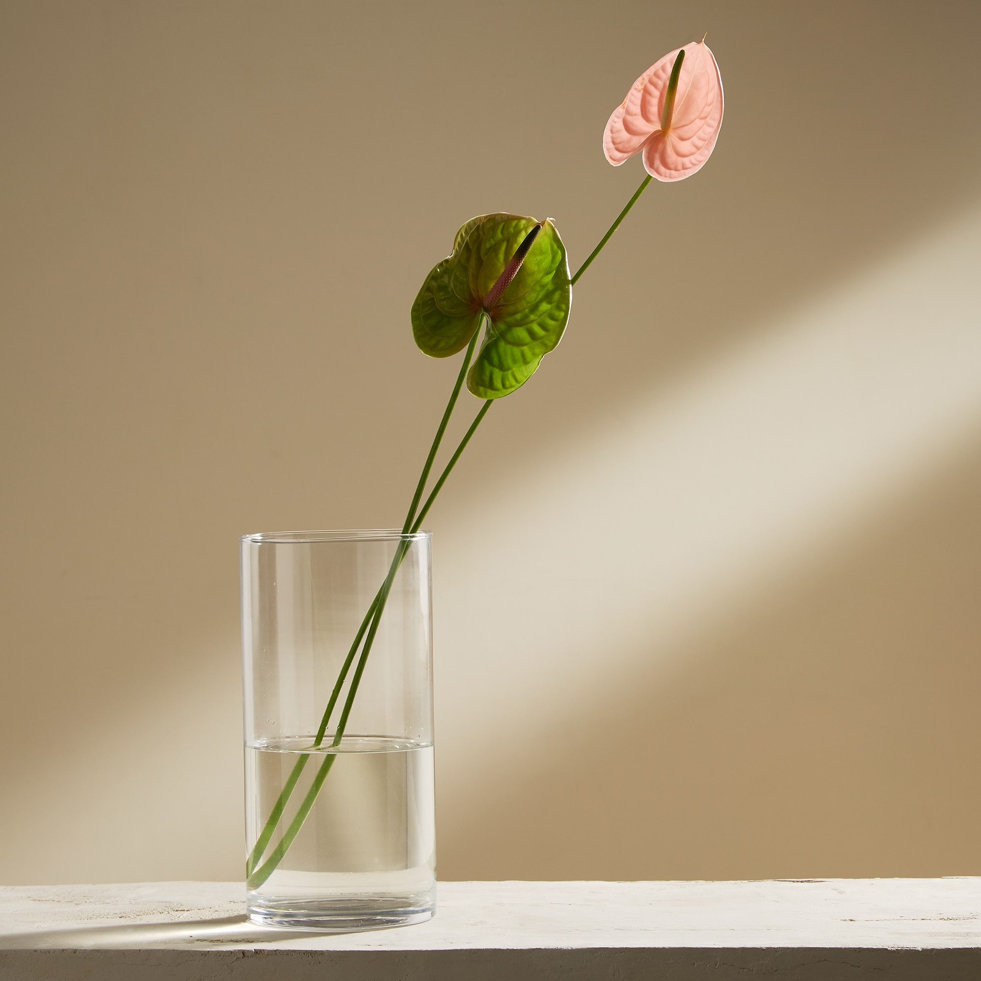 Imagem 0 de Jarro de flores Cilinder El Corte Inglés