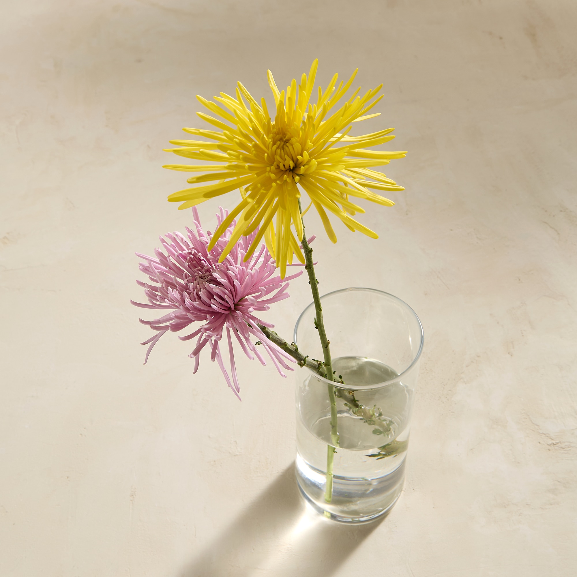 Imagem 0 de Jarro de flores Cilinder El Corte Inglés