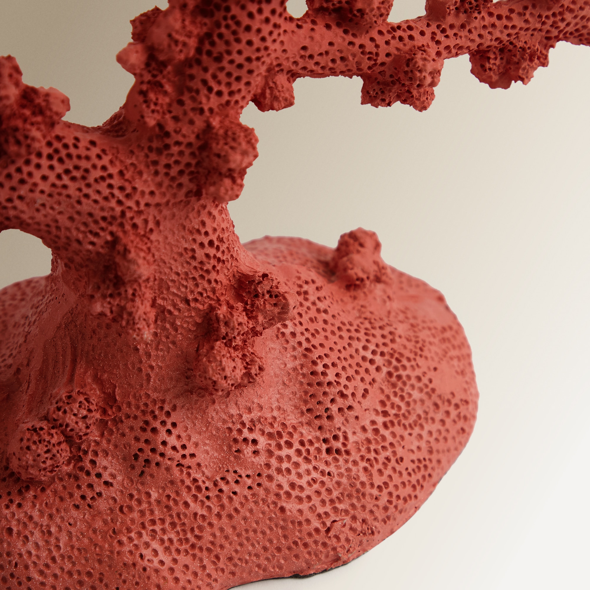 Figura Coral Belize Coral-3