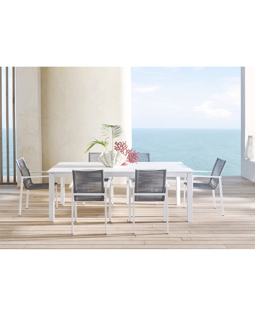 Figura Coral Belize Coral-4