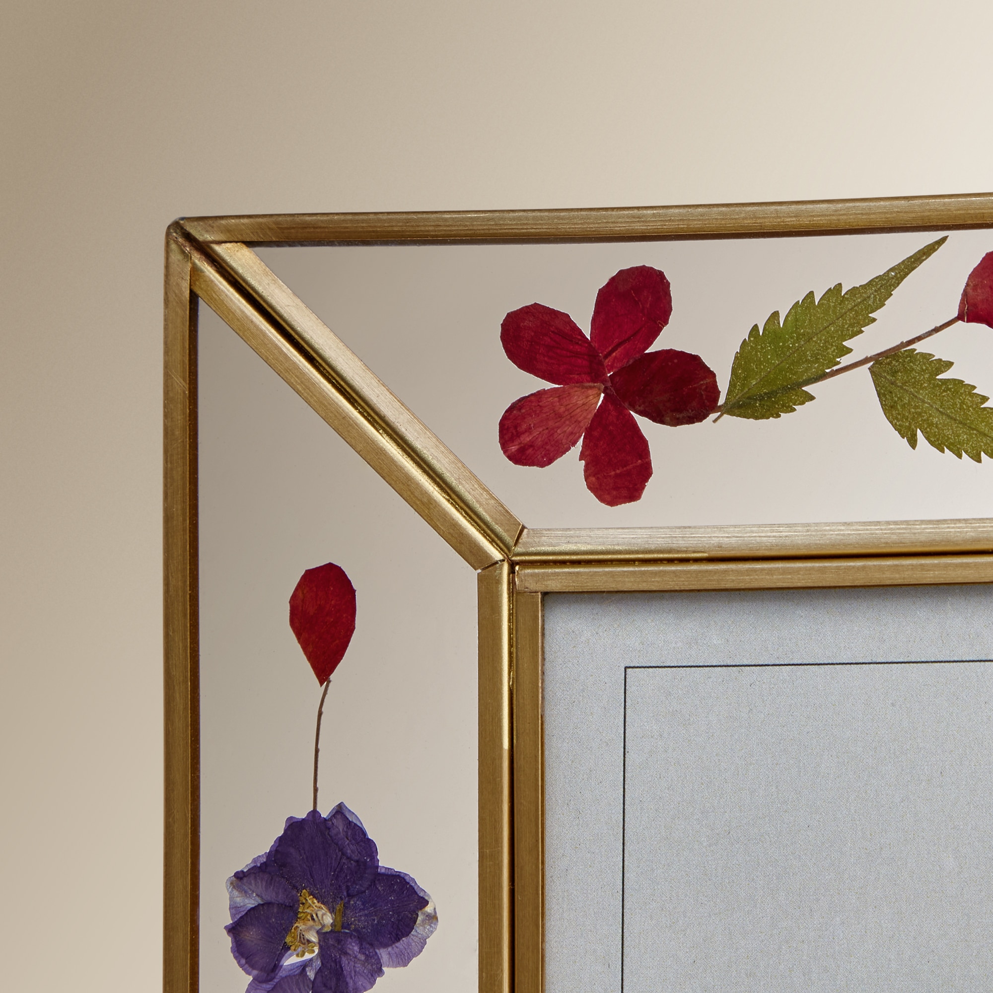 Marco de Fotografias Decorado com Flores Naturais Multicolor-3