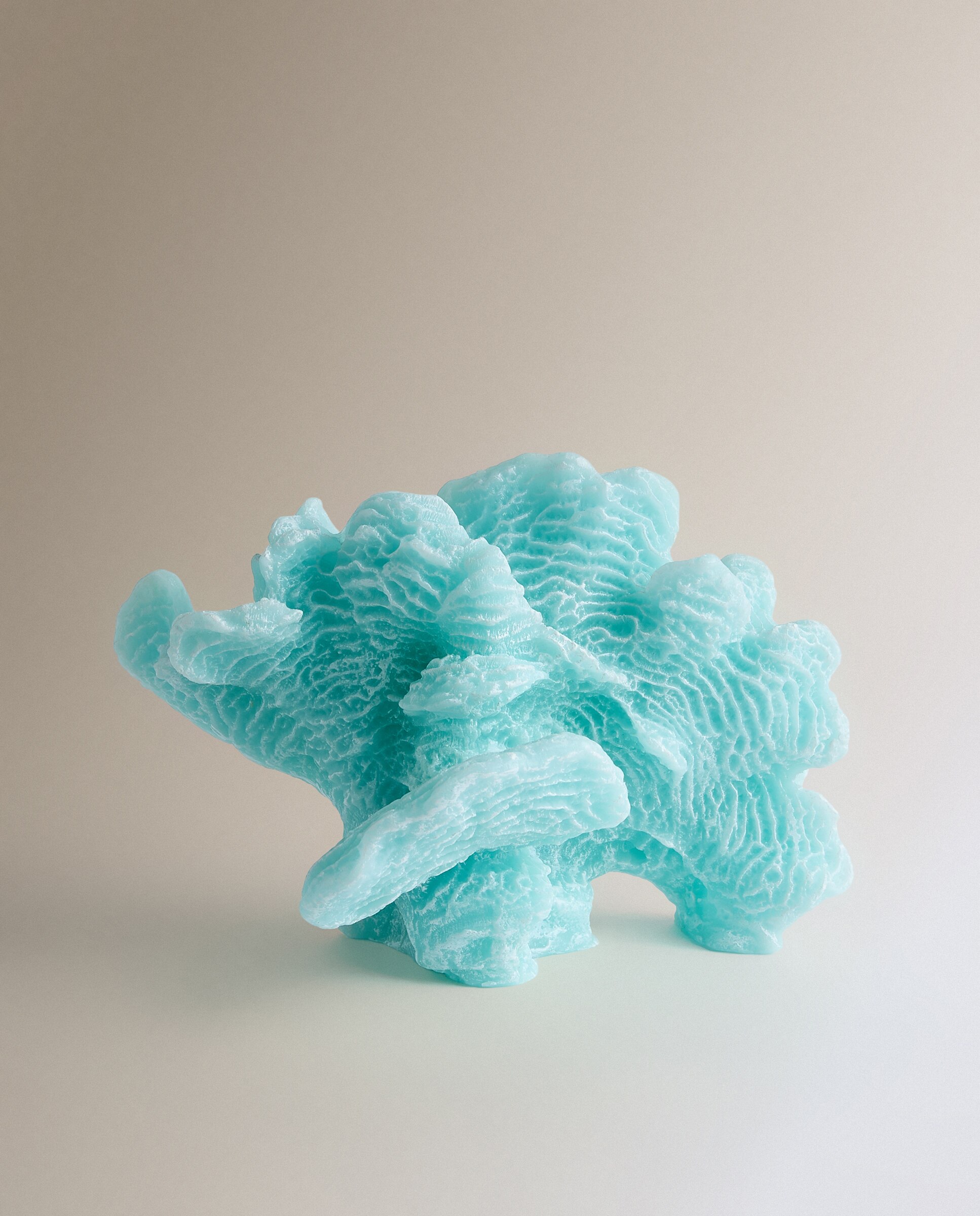 Vela Coral Azul-2