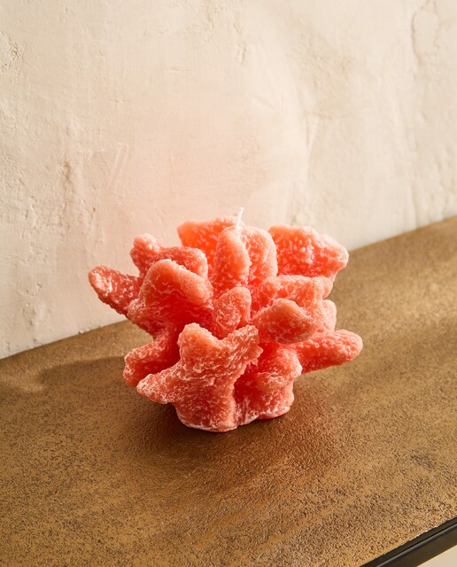 Vela Coral