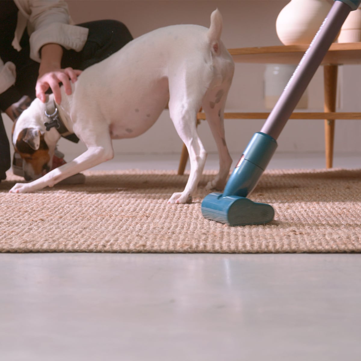 Aspirador de escoba recargable Taurus Homeland Digital Animal Flex con 3 velocidades Azul / Negro-8