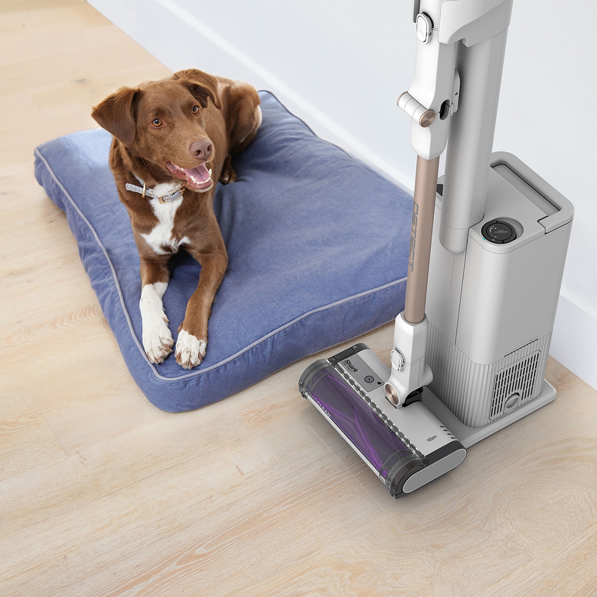Aspirador de escoba Shark Detect  + sistema vaciado  IW3612EU Blanco-6