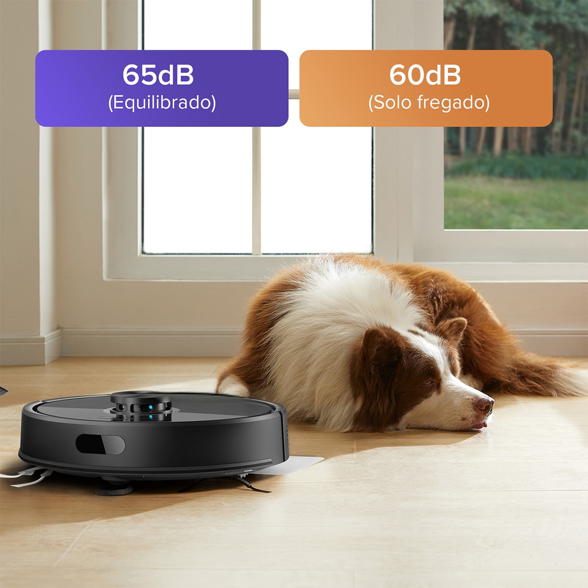 Robot aspirador y friegasuelos Roborock Q7 TF+ base autovaciado 10000Pa - Negro Negro-6