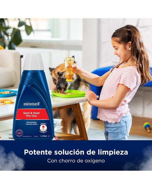 Aspirador quitamanchas para tapicerías HydroSteam Pro 3700N 6