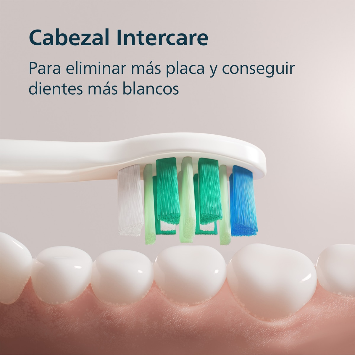 Cepillo de dientes eléctrico Philips Sonicare 2100, tecnología sónica, 2 intensidades, batería 14 días 7