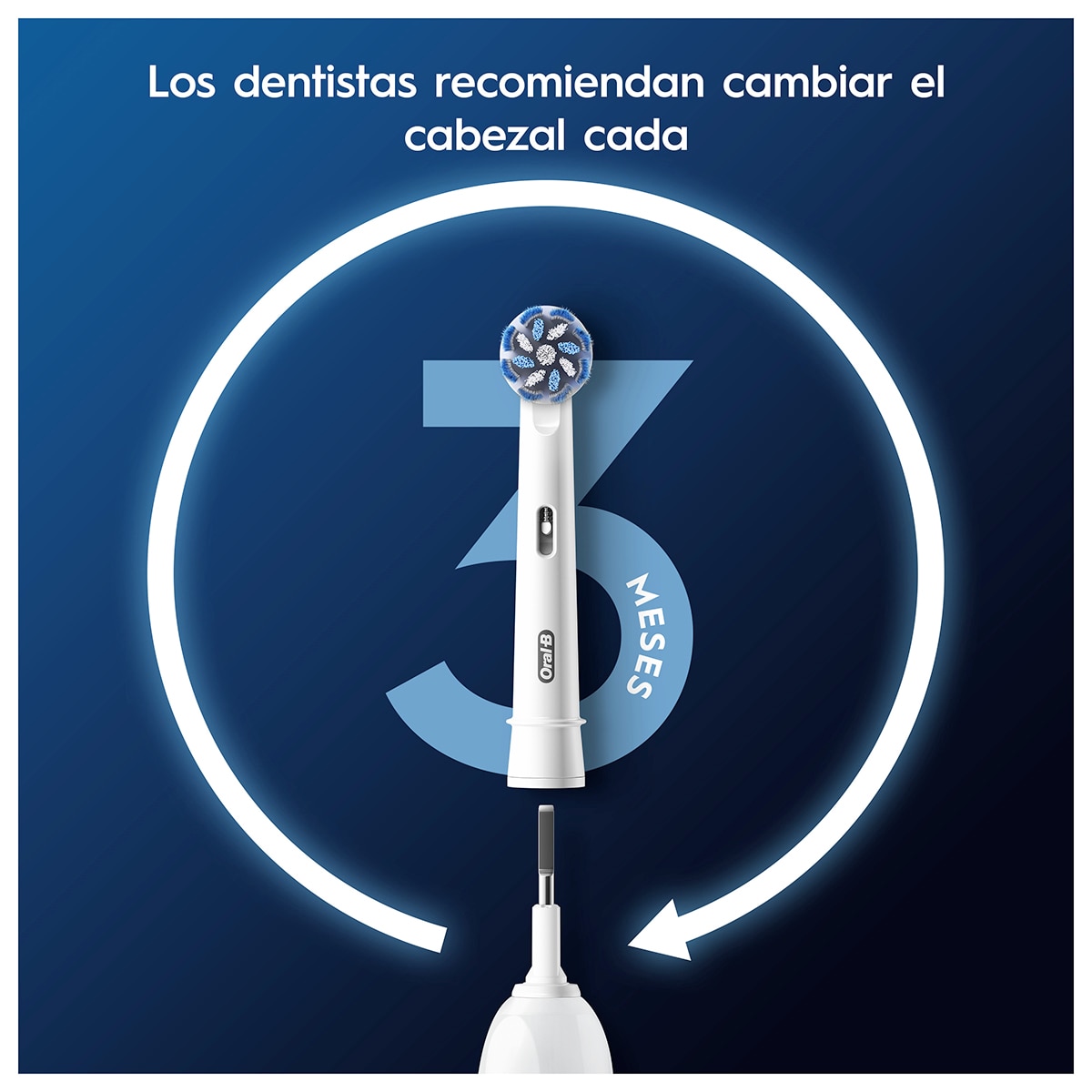 Imagen 5 de Recambio de cepillo dental Oral-B Pro Sensitive Clean 12 unidades - Blanco Blanco