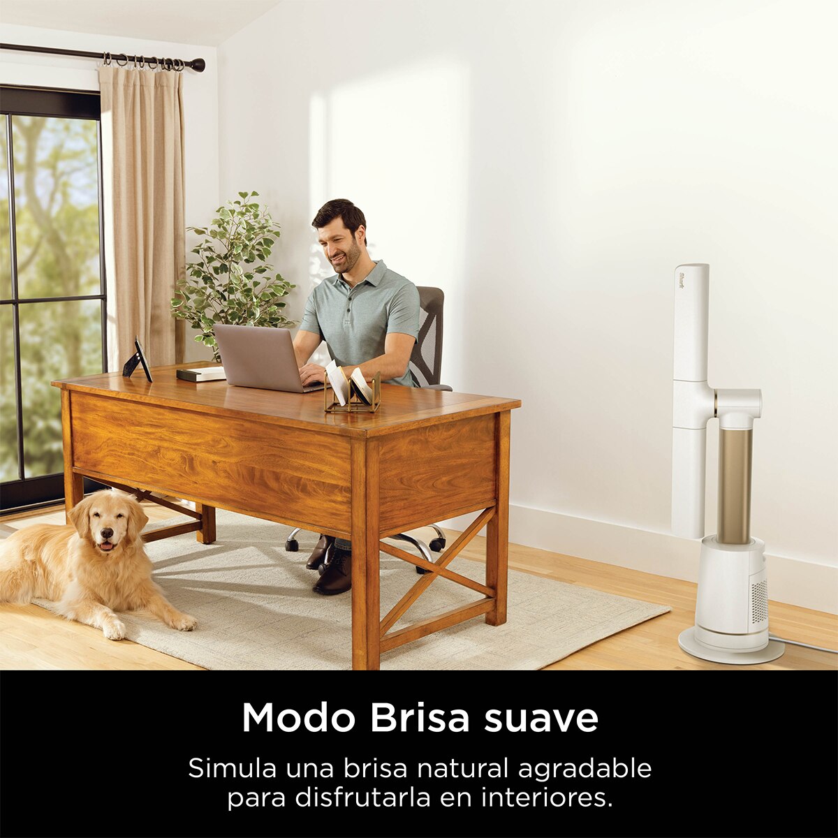 Ventilador de sobremesa Shark Turboblade sin aspas Blanco-10