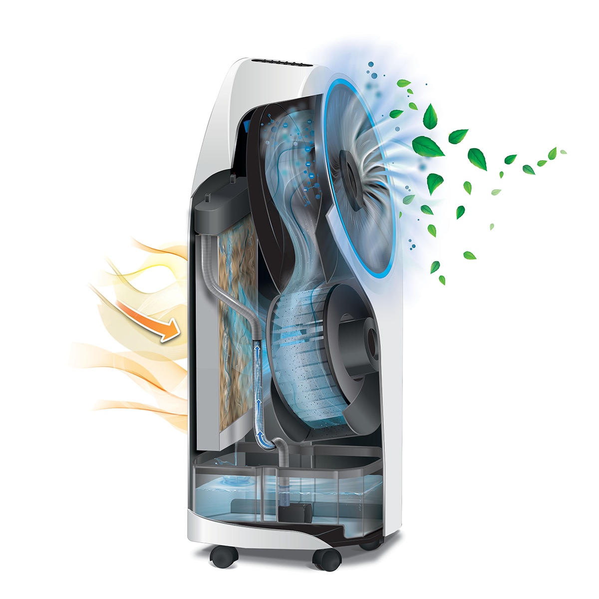 Climatizador evaporativo De'Longhi EV250.BK con ionizador y filtro anti polvo Negro-4