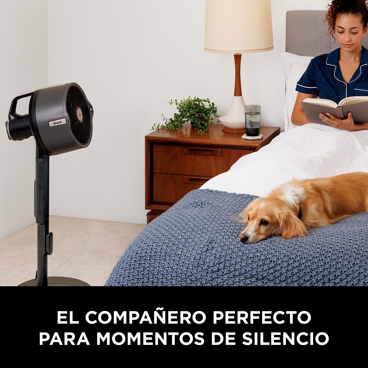 Ventilador portátil Shark Flexibreeze Go Gris-14