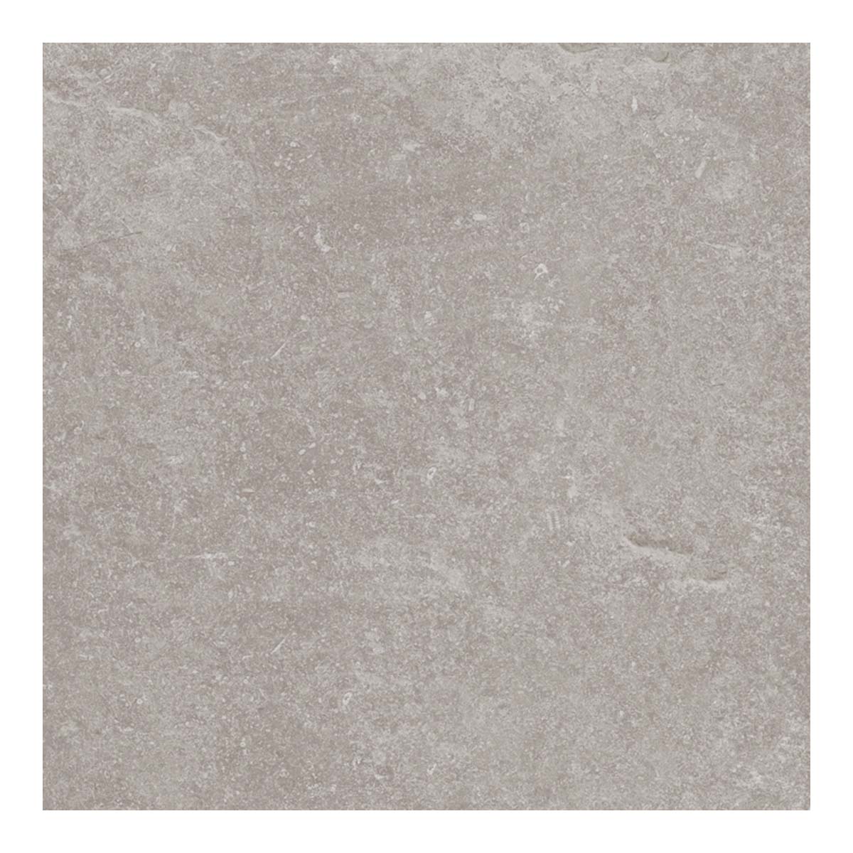 Imagen 0 de Azulejo de suelo rectificado 120x120 cm Verbier Porcelanosa Plata