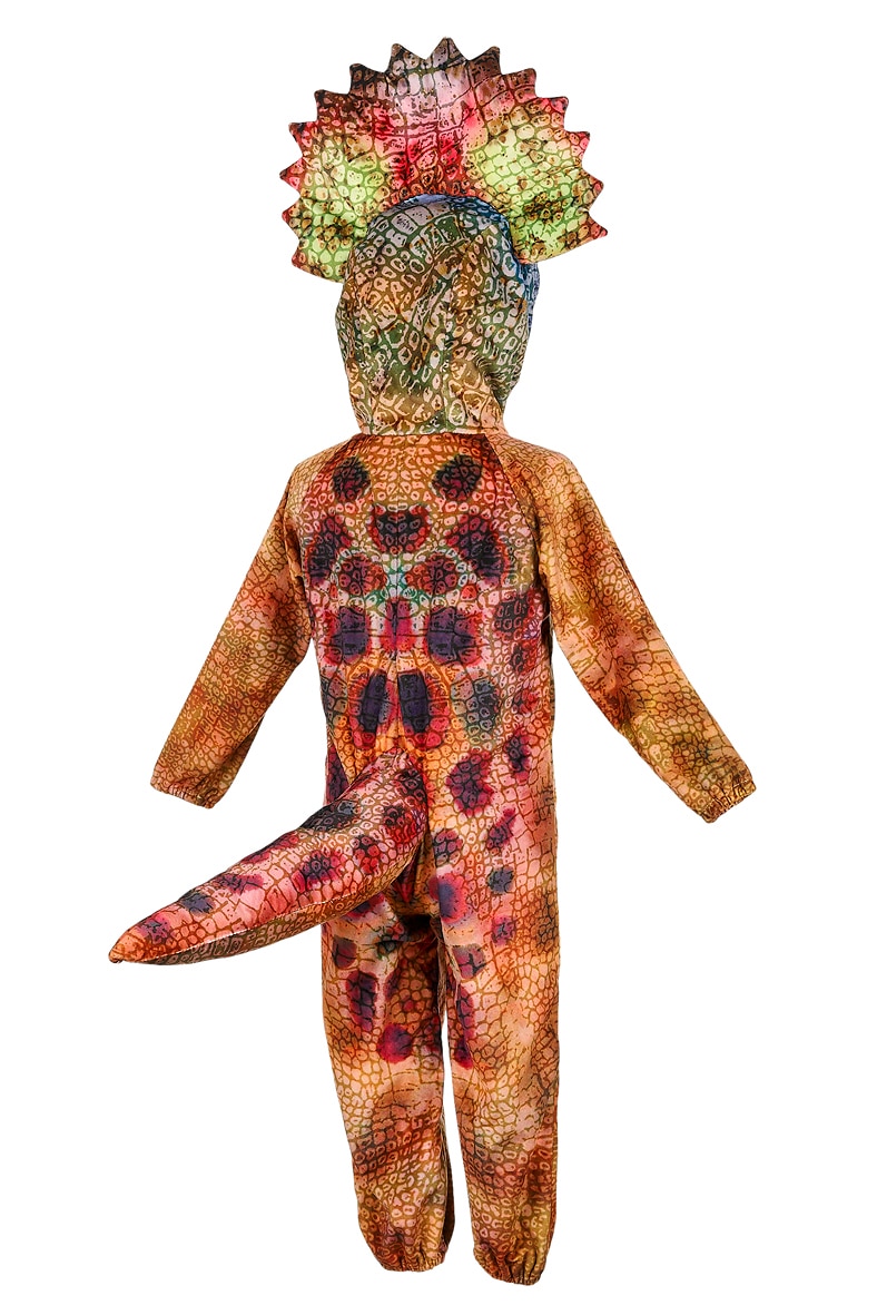 Disfraz infantil Triceratops Souza 2