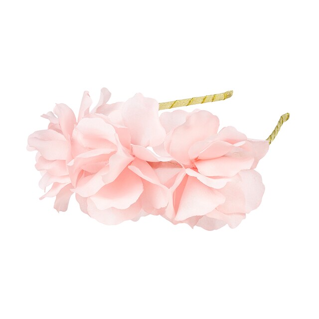 Diadema Annemarie  Souza