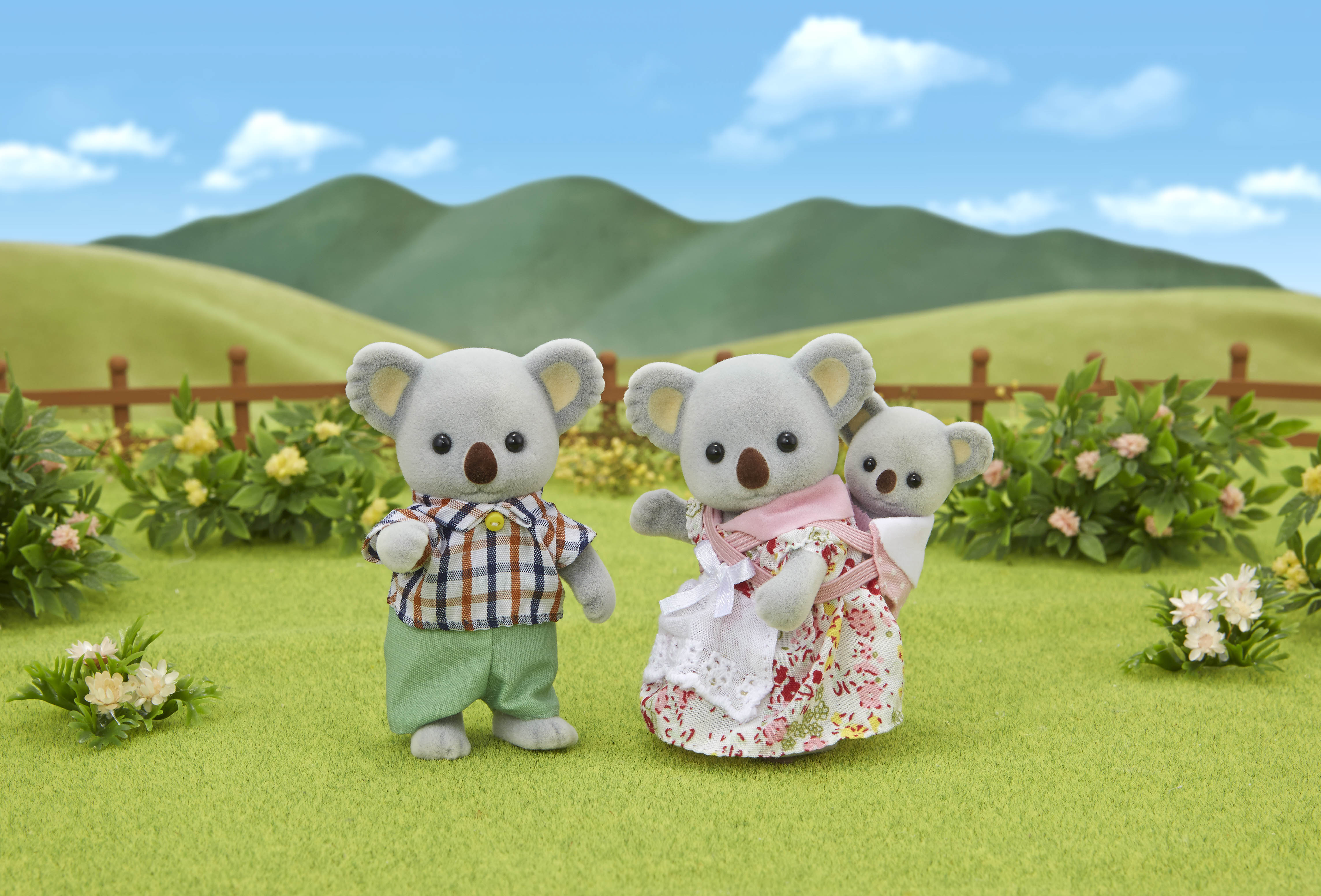 Familia Koala 2