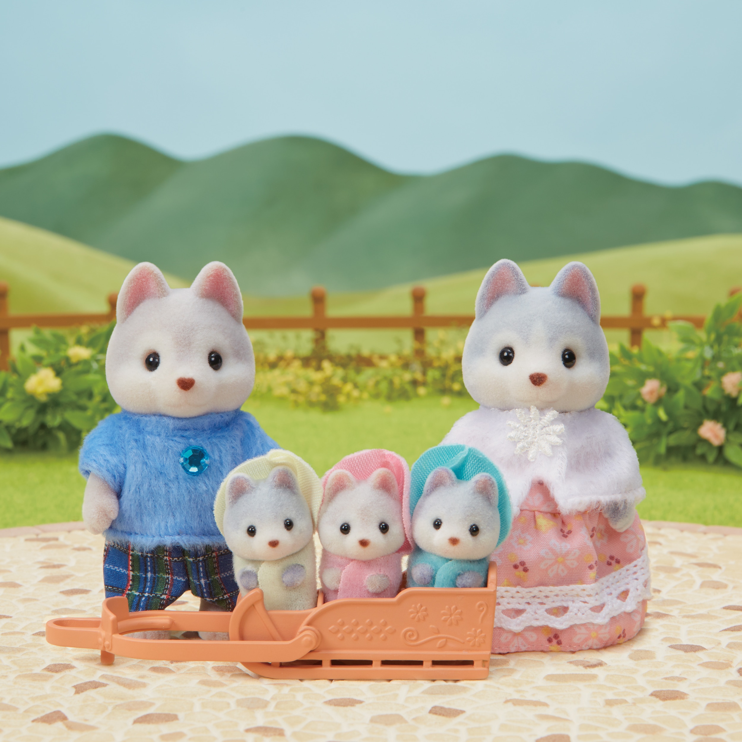 Familia de Husky 10