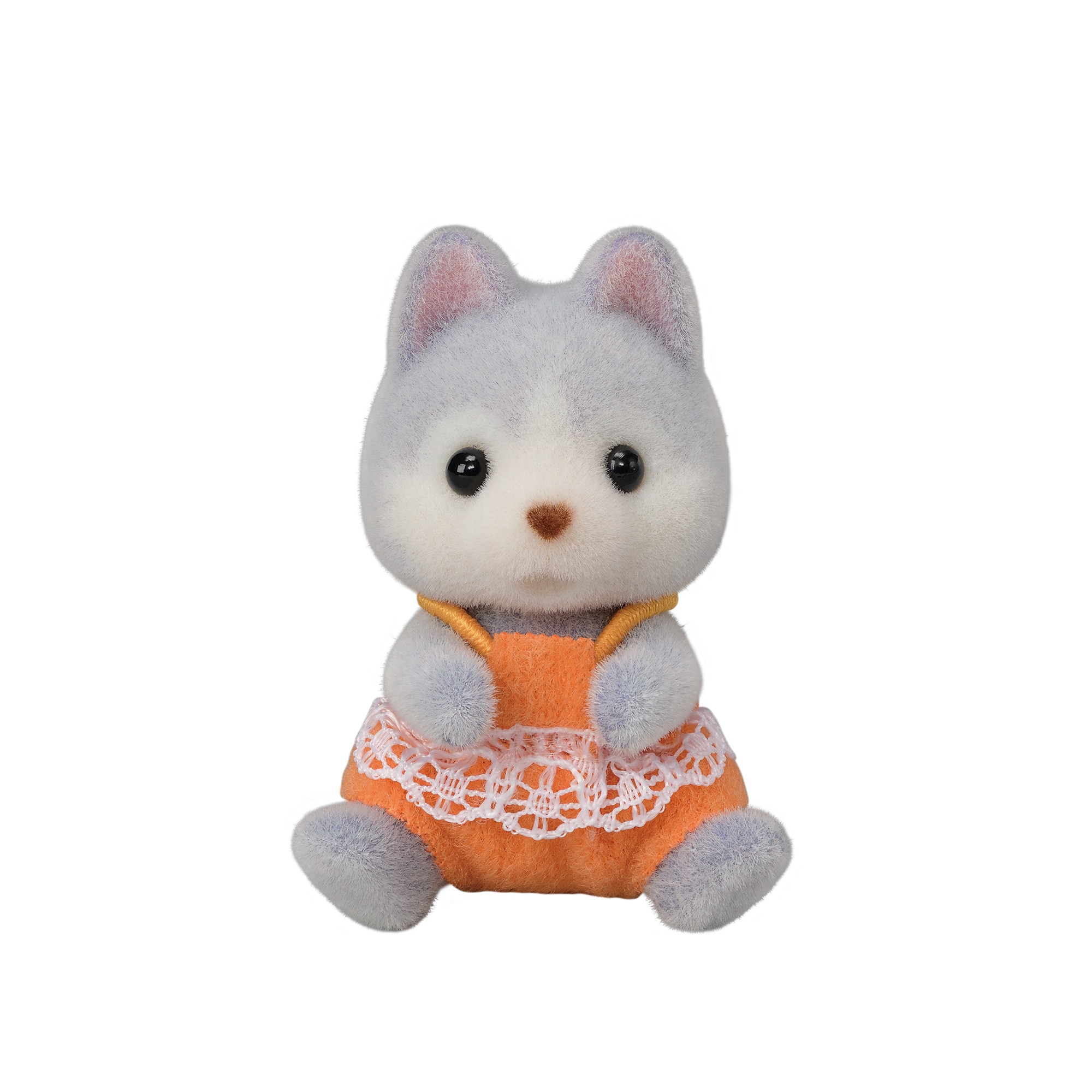 Gemelos husky 3
