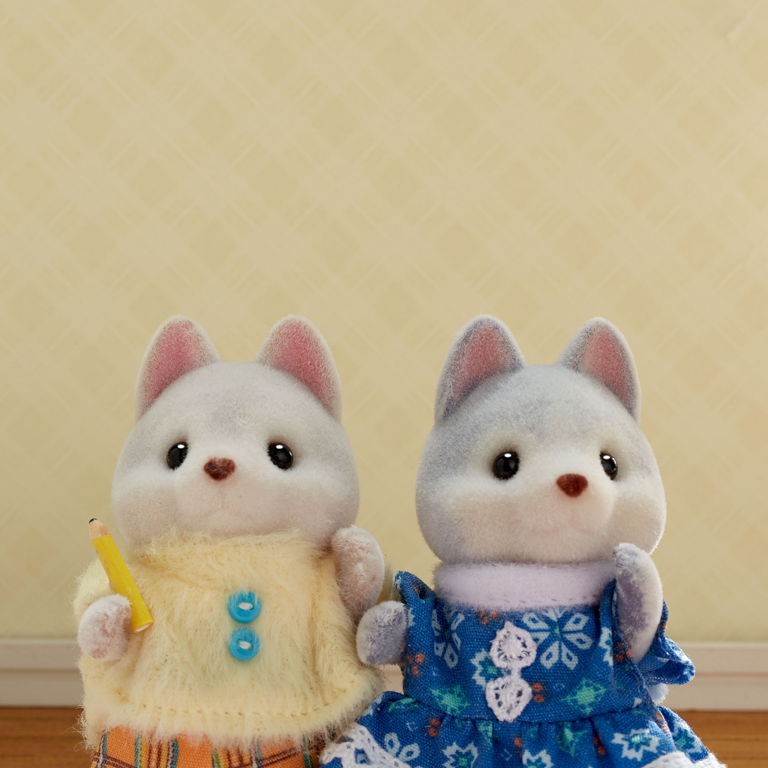 Hermanos husky en tándem 5